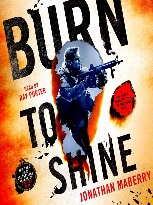 Title details for Burn to Shine by Jonathan Maberry - Wait list